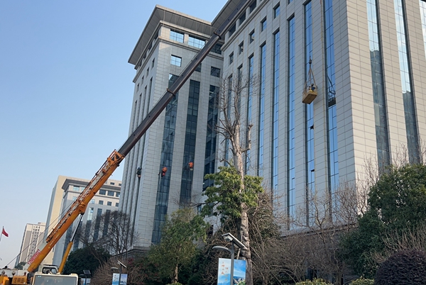 豸оԺ